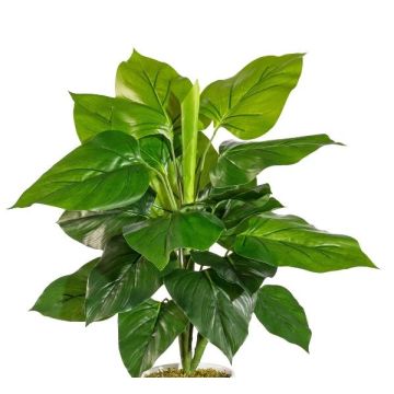 Umělá rostlina Philodendron Scandens GIMPA, tyč, 50cm
