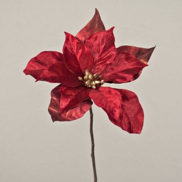 Sametová poinsettie SHEBA, červená, 55cm, Ø23cm