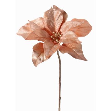 Sametová poinsettie SHEBA, lososová, 55cm, Ø21cm Sametová poinsettie SHEBA, lososová, 55cm, Ø21cm