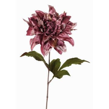Sametová jiřinka MINBU, starorůžová, starolila, 60cm, Ø17cm Sametová jiřinka MINBU, starorůžová, starolila, 60cm, Ø17cm
