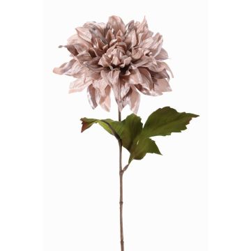 Sametová jiřinka MINBU, béžovo-růžová, světle lila, 60cm, Ø17cm Sametová jiřinka MINBU, béžovo-růžová, světle lila, 60cm, Ø17cm