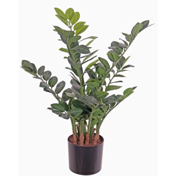 Umělý zamioculcas JANGOLIE, 70cm Umělý zamioculcas JANGOLIE, 70cm