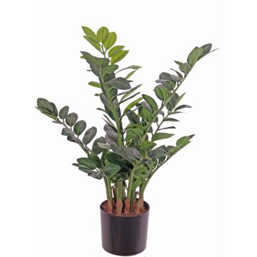 Umělý zamioculcas JANGOLIE, 70cm Umělý zamioculcas JANGOLIE, 70cm
