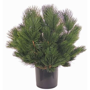 Umělý keř borovice pinie KARHA, pro interiér i exteriér, zelený, 70cm, Ø70cm Umělý keř borovice pinie KARHA, pro interiér i exteriér, zelený, 70cm, Ø70cm