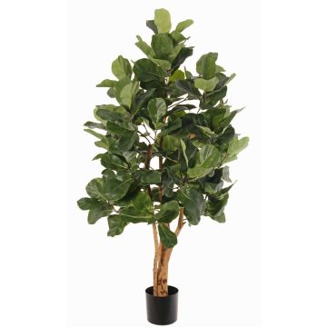Umělý strom ficus lyrata TUNGA, přírodní kmeny, zelený, 150cm Umělý strom ficus lyrata TUNGA, přírodní kmeny, zelený, 150cm