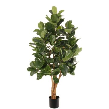 Umělý strom ficus lyrata TUNGA, přírodní kmeny, zelený, 150cm Umělý strom ficus lyrata TUNGA, přírodní kmeny, zelený, 150cm