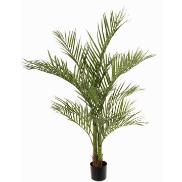Umělá areková palma JUMBOLINO, 150cm Umělá areková palma JUMBOLINO, 150cm