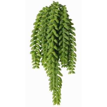 Umělý rozchodník morganianum věšák DESPOINA, zelený, 30cm Umělý rozchodník morganianum věšák DESPOINA, zelený, 30cm