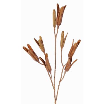 Umělá větvička lilie ELFIDA, hnědá, 80cm, Ø2-3cm Umělá větvička lilie ELFIDA, hnědá, 80cm, Ø2-3cm