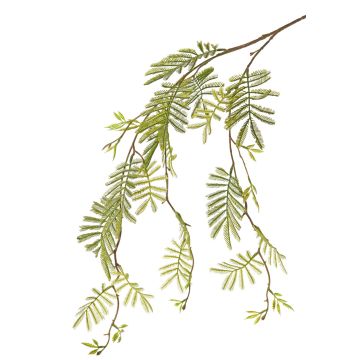 Umělá větev mimózy ELPIDA, zelená, 110 cm Umělá větev mimózy ELPIDA, zelená, 110 cm