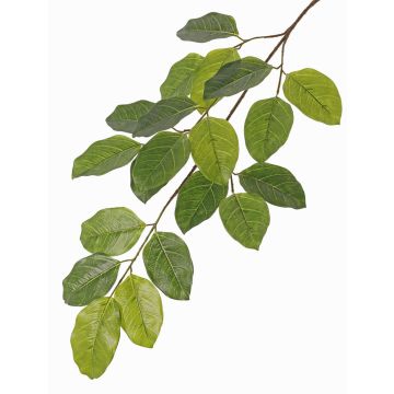 Umělá větev fíkovníku banyán ERASMOS, nehořlavá, zelená, 80cm Umělá větev fíkovníku banyán ERASMOS, nehořlavá, zelená, 80cm