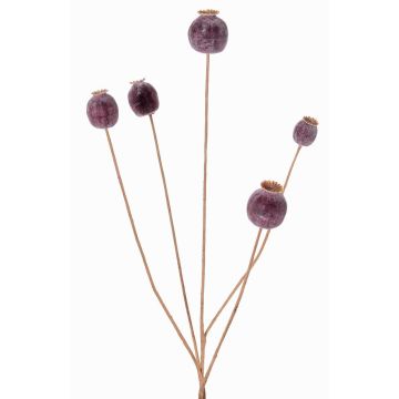 Umělá maková kapsle FILOMELA, tmavě hnědá, 75cm, Ø2-3,5cm Umělá maková kapsle FILOMELA, tmavě hnědá, 75cm, Ø2-3,5cm