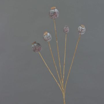 Umělá maková kapsle FILOMELA, tmavě hnědá, 75 cm Umělá maková kapsle FILOMELA, tmavě hnědá, 75 cm