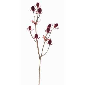 Plastový bodlák LOUKAS, vínová, burgundský, 45cm, Ø1-1,5cm Plastový bodlák LOUKAS, vínová, burgundský, 45cm, Ø1-1,5cm