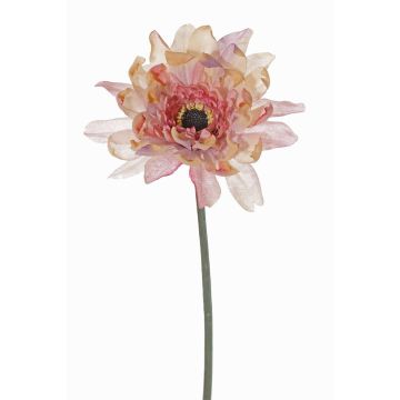 Textilní květina gerbera PAMILLA, starorůžová, starorůžovo-krémový, 65cm, Ø12cm Textilní květina gerbera PAMILLA, starorůžová, starorůžovo-krémový, 65cm, Ø12cm