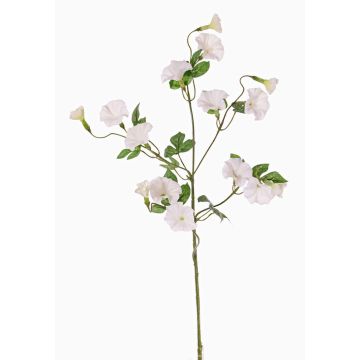Umělá povijnice IORDANIS, bílá, 80cm, Ø3-5,5cm