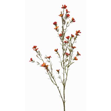 Umělá voskovka NIANG, oranžovo-červená, 80cm, Ø1,5-2,5cm Umělá voskovka NIANG, oranžovo-červená, 80cm, Ø1,5-2,5cm