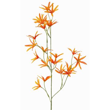 Umělá květina tvídie PALLAS, oranžová, 70cm, Ø5cm