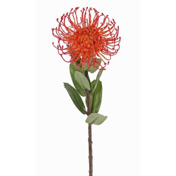 Umělá protea BAILY, oranžová, 55cm, Ø10cm Umělá protea BAILY, oranžová, 55cm, Ø10cm
