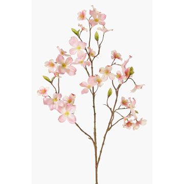 Umělá květina dřín NARIUS s květy, růžová, růžovo-bílá, 80cm, Ø4-7cm Umělá květina dřín NARIUS s květy, růžová, růžovo-bílá, 80cm, Ø4-7cm