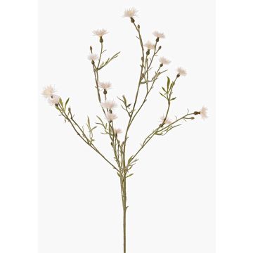 Umělá květina chrpa ZENOBIOS, krémová, 80cm, Ø3-4cm Umělá květina chrpa ZENOBIOS, krémová, 80cm, Ø3-4cm