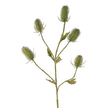 Umělá štětka planá KASTANIA, zelená, 90cm