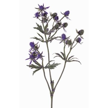 Umělá květina bodlák KALYPSO, tmavě fialová, 65cm, Ø3-4cm Umělá květina bodlák KALYPSO, tmavě fialová, 65cm, Ø3-4cm