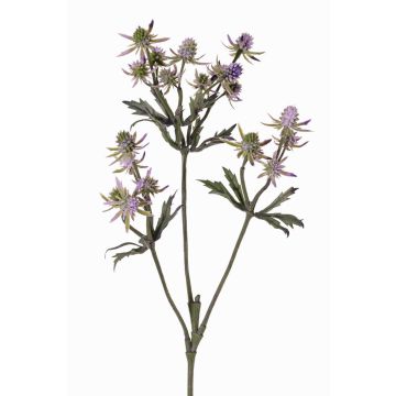 Umělá květina bodlák KALYPSO, fialová, lila, 65cm, Ø3-4cm Umělá květina bodlák KALYPSO, fialová, lila, 65cm, Ø3-4cm