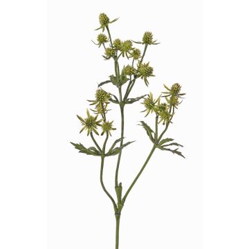 Umělá květina bodlák KALYPSO, zelená, 65cm, Ø3-4cm Umělá květina bodlák KALYPSO, zelená, 65cm, Ø3-4cm