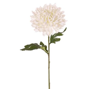Textilní květina chryzantéma DELPHINA, krémová, 65cm, Ø14cm Textilní květina chryzantéma DELPHINA, krémová, 65cm, Ø14cm