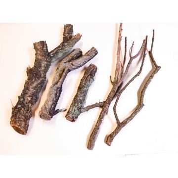 Přírodní korkové větve MAJIRA ve svazku, 5 kusů, přírodní, 35-90cm