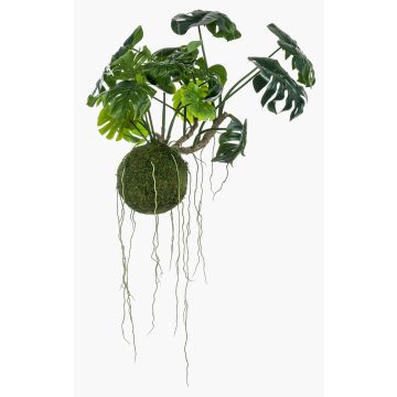 Umělý philodendron monstera deliciosa YUNUS, mechová koule, 60cm Umělý philodendron monstera deliciosa YUNUS, mechová koule, 60cm