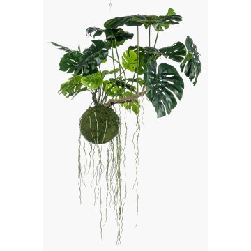 Umělý philodendron monstera deliciosa YUNUS, mechová koule, 80cm Umělý philodendron monstera deliciosa YUNUS, mechová koule, 80cm