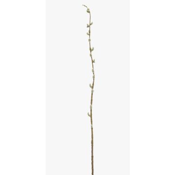 Dekorační větev kočičky DAFINO s květy, bílá, 105cm