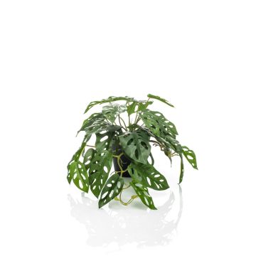 Dekorační filodendron monstera deliciosa TREVYN, 55cm