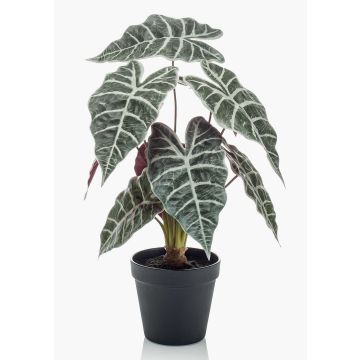 Umělá alokasie sanderiana UTHER, zeleno-bílá, 40cm Umělá alokasie sanderiana UTHER, zeleno-bílá, 40cm