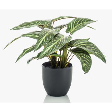 Umělá kalatea Zebrina VAIDA v dekorativním květináči, zelenobílá, 40cm