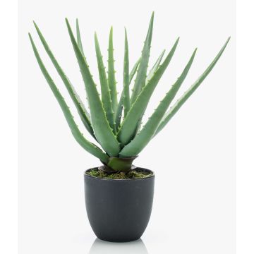 Umělá aloe vera EVELIO v dekorativním květináči, 35cm