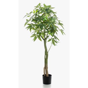 Umělá pachira HARUKI, umělé kmeny, 150cm Umělá pachira HARUKI, umělé kmeny, 150cm