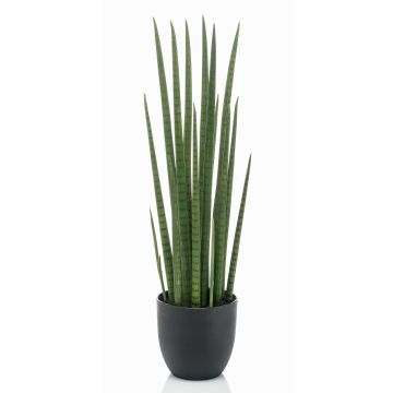 Umělá sansevieria cylindrica KICHIRO v dekorativním květináči, zelená, 70cm