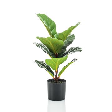 Umělý Ficus lyrata EMILIANA, zelený, 55cm Umělý Ficus lyrata EMILIANA, zelený, 55cm