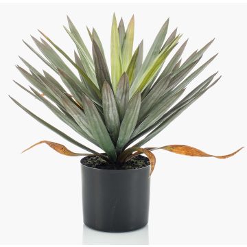 Umělá juka KOUKI, 50cm