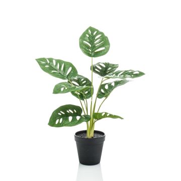 Umělý filodendron monstera deliciosa VIRGA, 45cm