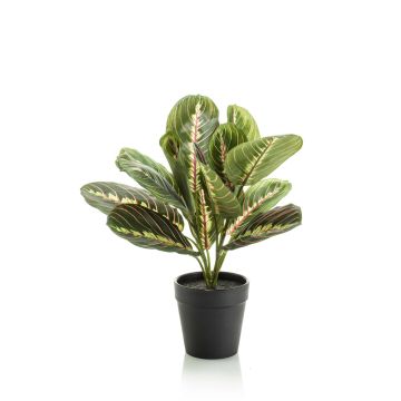 Umělá maranta SITULA, zeleno-červená, 30cm