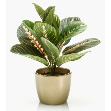 Umělá maranta SITULA v keramickém květináči zlatá, zeleno-červený, 30cm Umělá maranta SITULA v keramickém květináči zlatá, zeleno-červený, 30cm