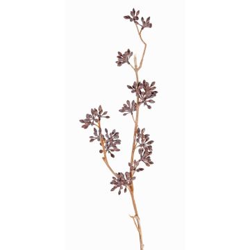 Plastová eukalyptová větev SOHA s plody, hnědá, 60cm Plastová eukalyptová větev SOHA s plody, hnědá, 60cm