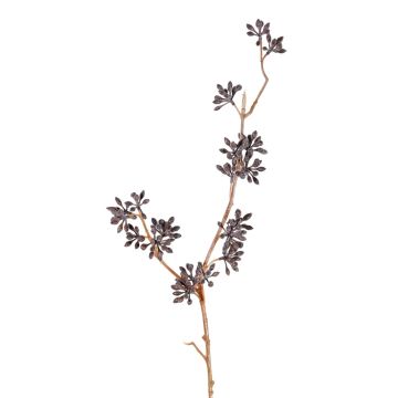 Plastová větev eukalyptu SOHA s plody, tmavě hnědá, 60 cm