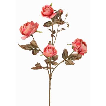 Umělá větev růže SITARA, růžovo-fuchsiová, 75cm, Ø5-8cm Umělá větev růže SITARA, růžovo-fuchsiová, 75cm, Ø5-8cm