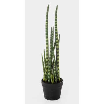 Umělá sansevieria cylindrica AIDANA, zelenožlutá, 65cm