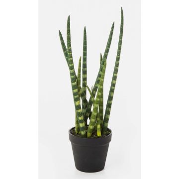 Umělá sansevieria cylindrica AIDANA, zelenožlutá, 40cm